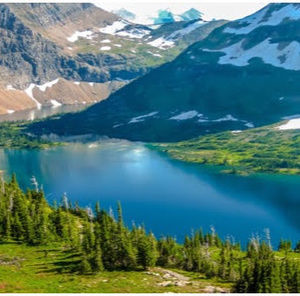 Meet your Posher, Jude